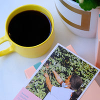 Rwanda Gisanga Anaerobic Natural