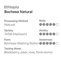 Ethiopia Bochesa Natural