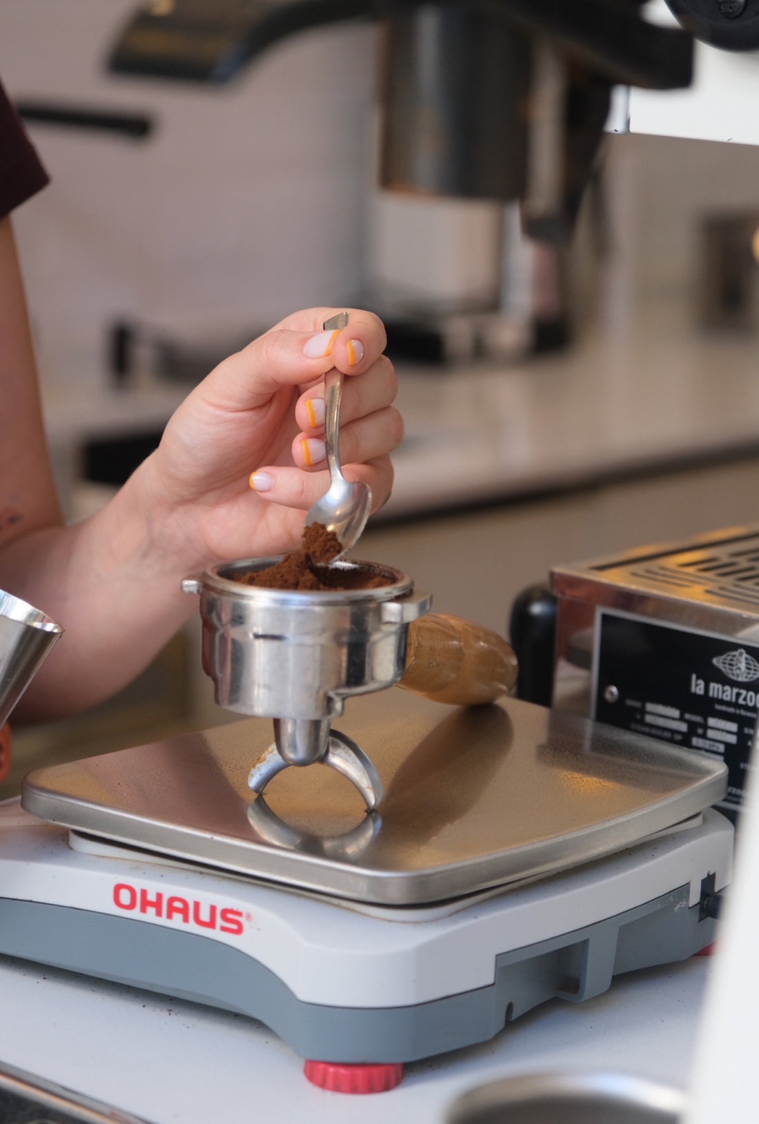 Colombia Monteblanco Nectar Citrullus Washed Espresso