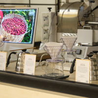 Workshop / Kahveye Giriş - Good Coffee Roastery - Suadiye