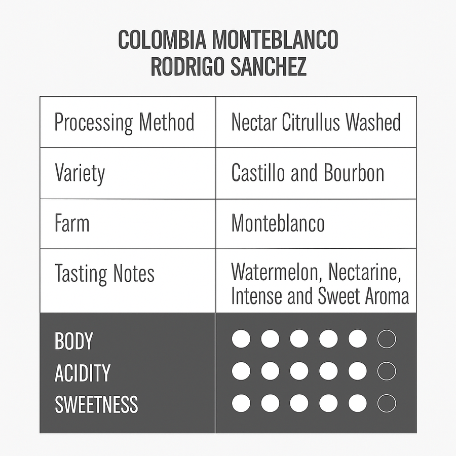 COLOMBIA MONTEBLANCO NECTAR CITRULLUS WASHED