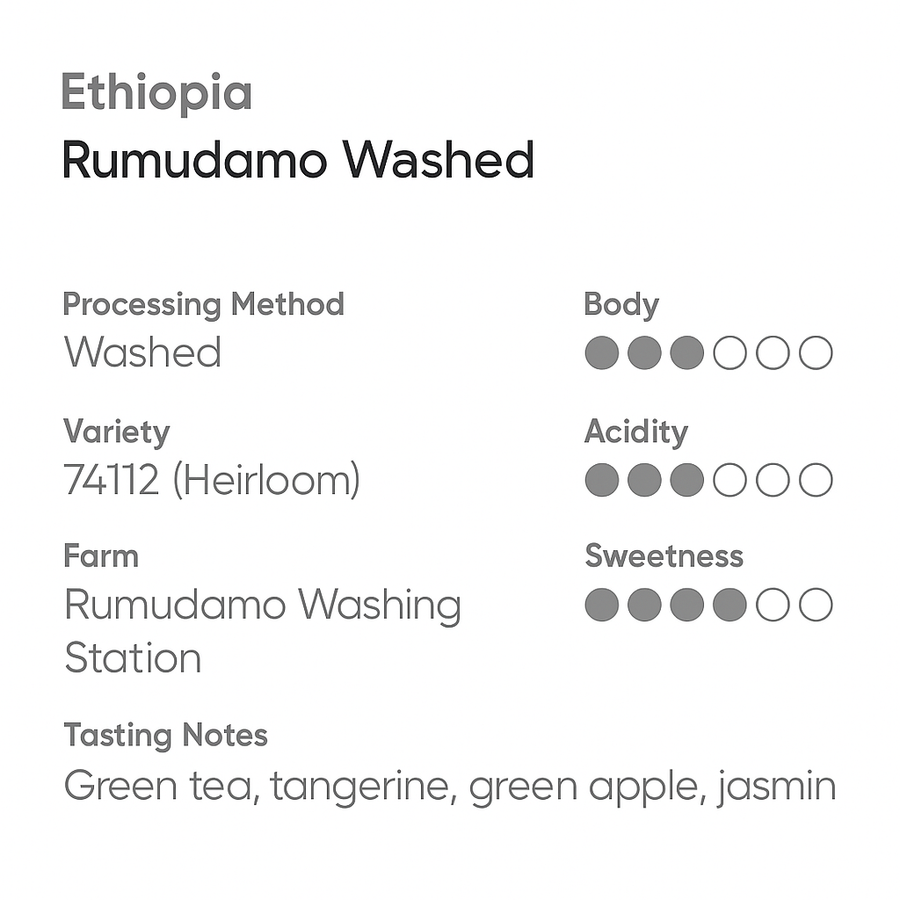 Ethiopia Rumudamo Washed