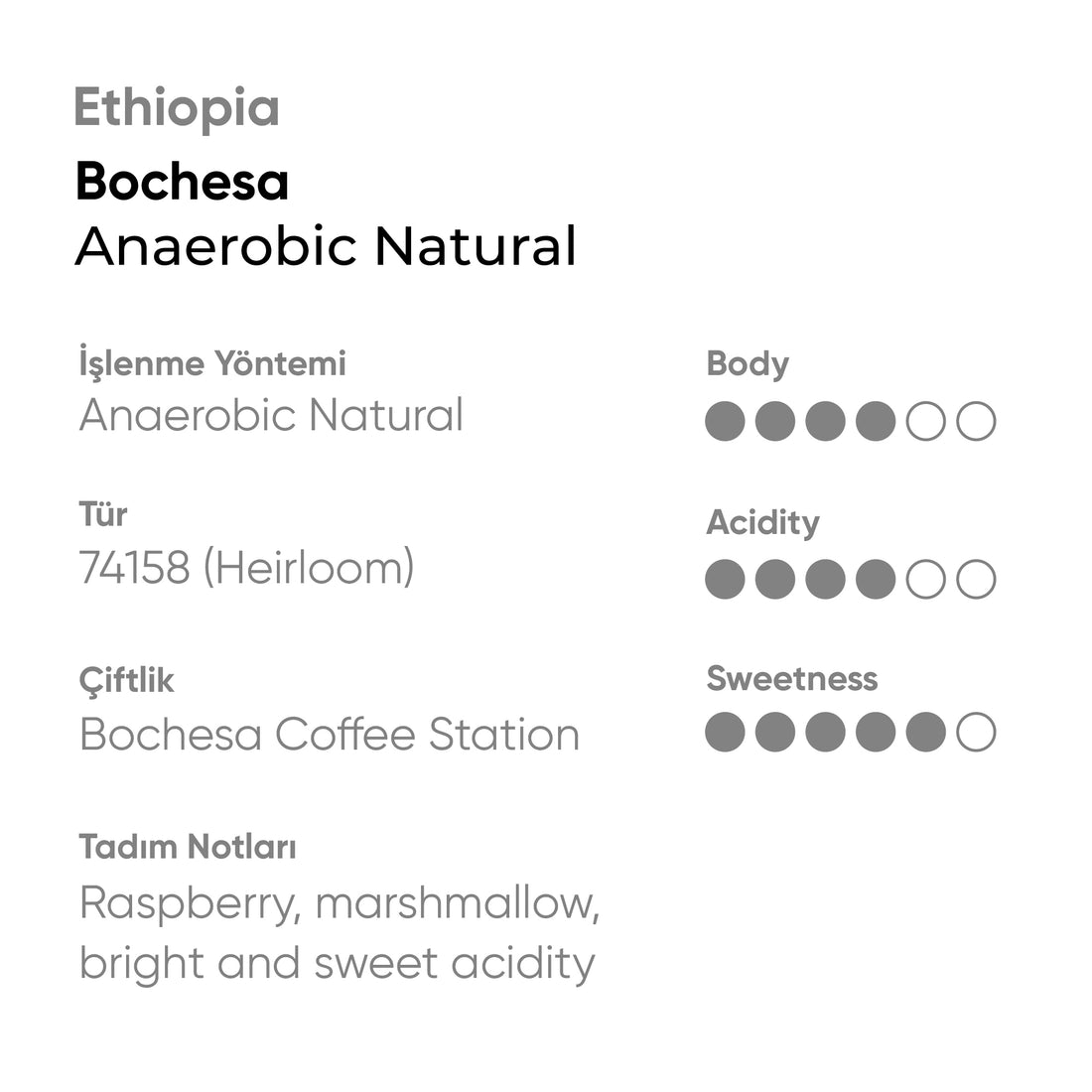 Ethiopia Bochesa Anaerobic Natural