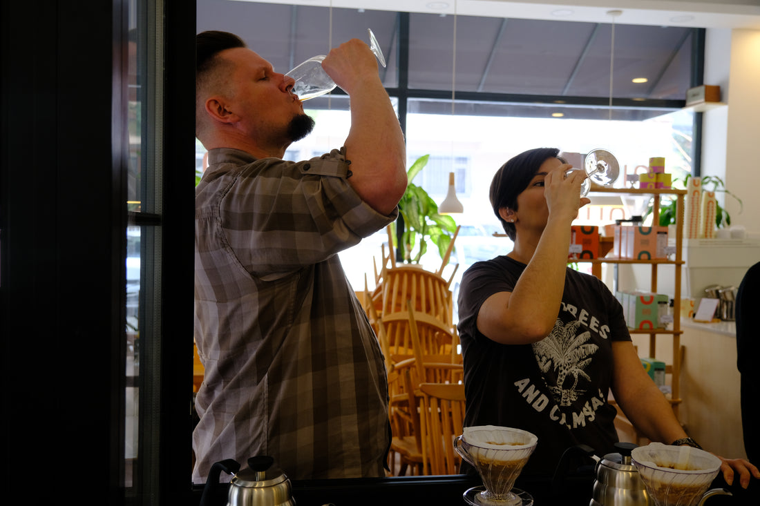 Workshop / Kahveye Giriş