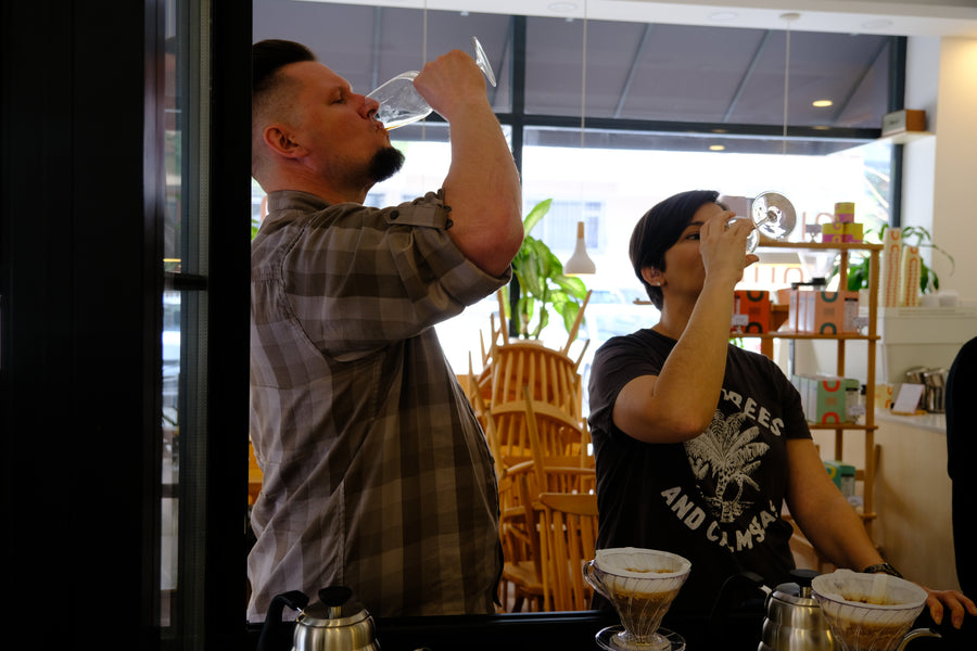 Workshop / Kahveye Giriş