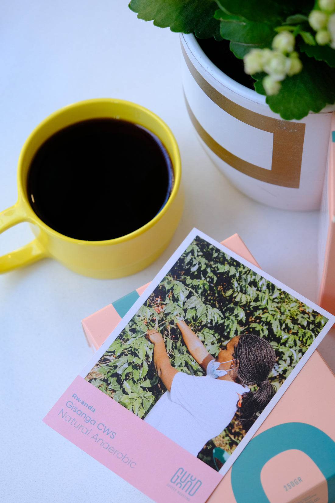 Rwanda Gisanga Anaerobic Natural