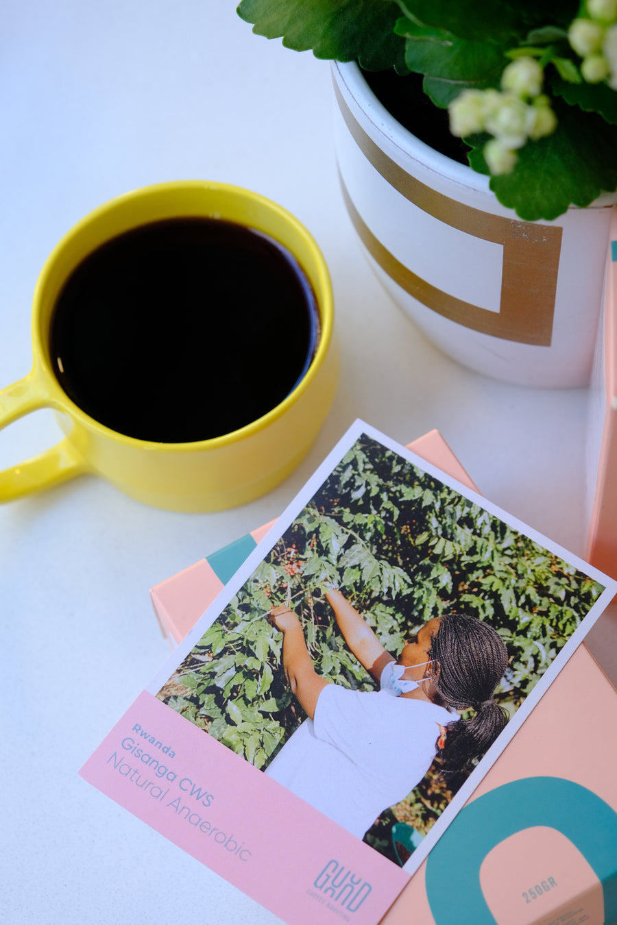 Rwanda Gisanga Anaerobic Natural