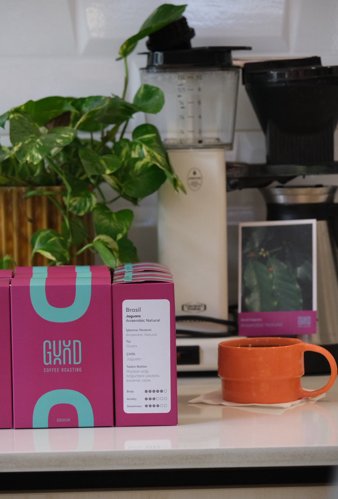 Brasil Jaguara Anaerobic Natural