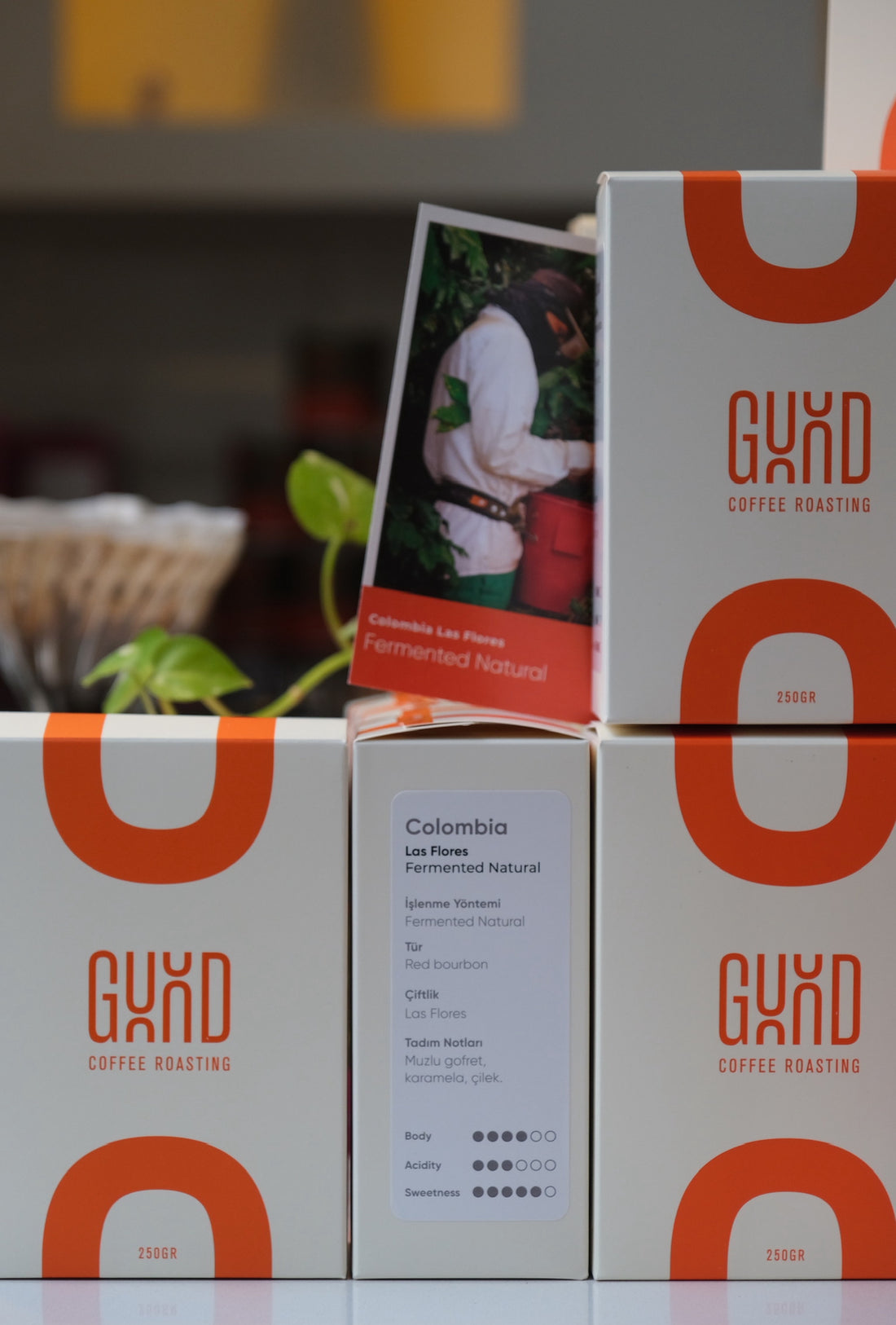 Colombia Las Flores Fermented Natural