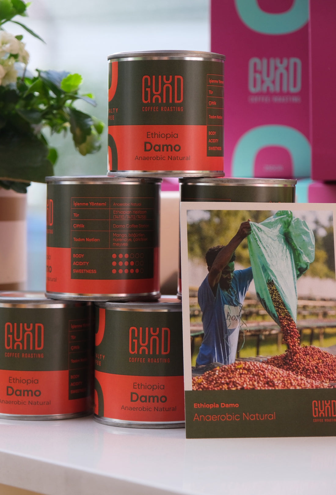 Ethiopia Damo Anaerobic Natural