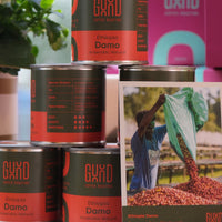 Ethiopia Damo Anaerobic Natural