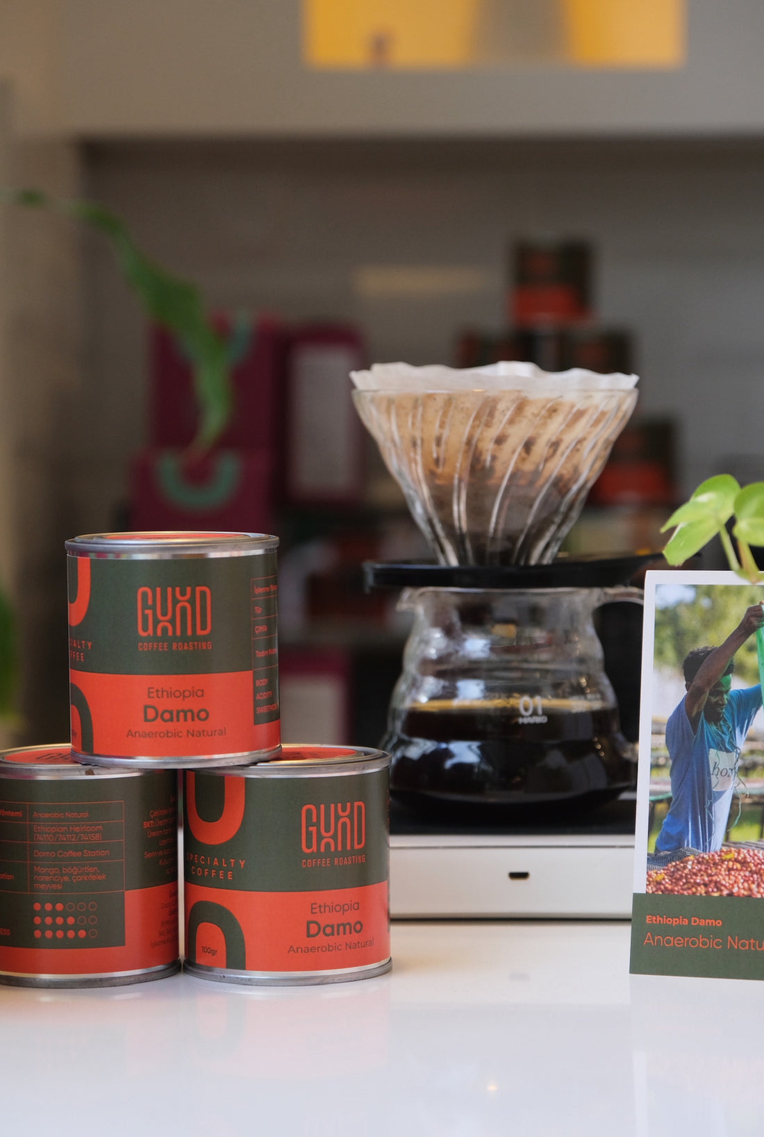 Ethiopia Damo Anaerobic Natural