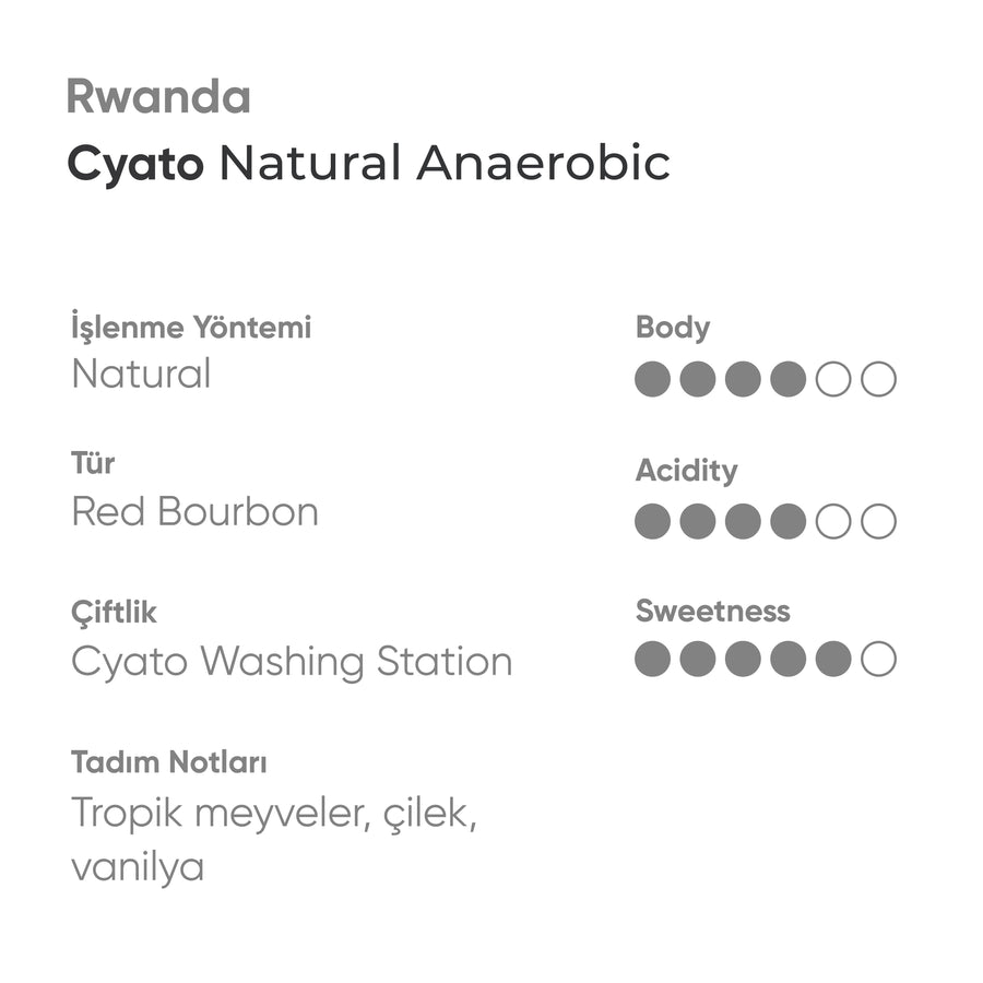 Rwanda Cyato Anaerobic Natural