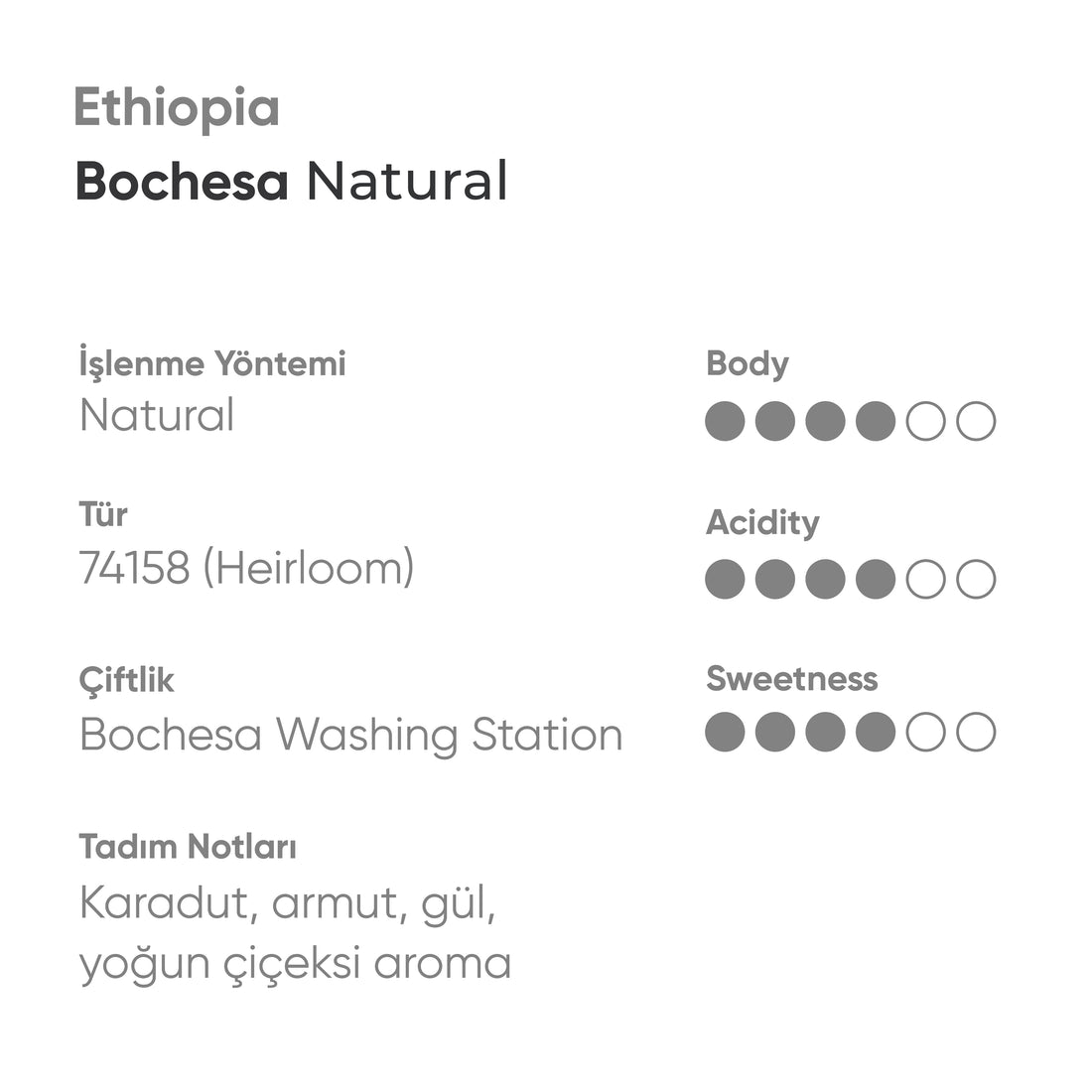 Ethiopia Bochesa Natural