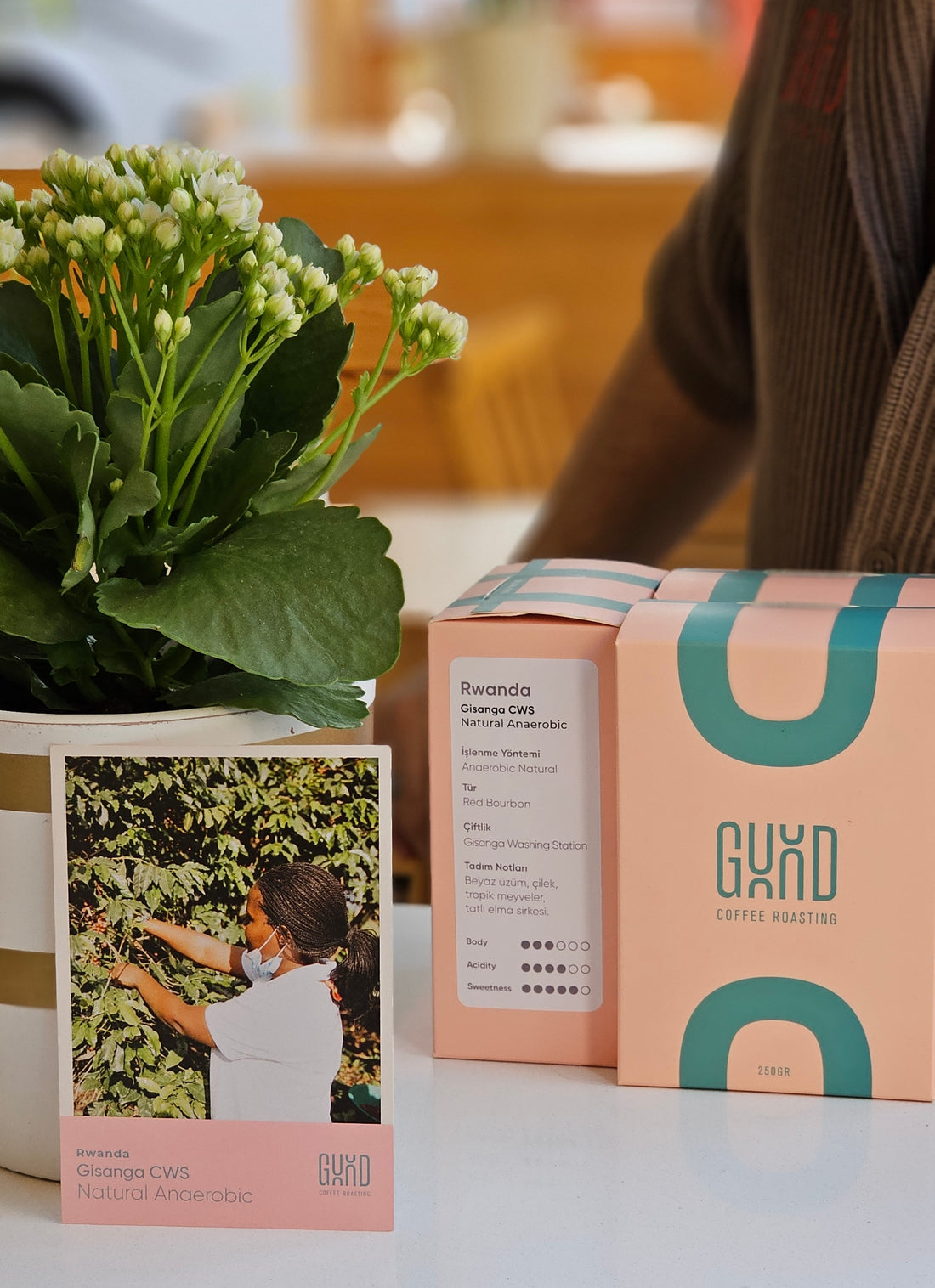 Rwanda Gisanga Anaerobic Natural